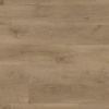 Art Select Plank Salon Oak